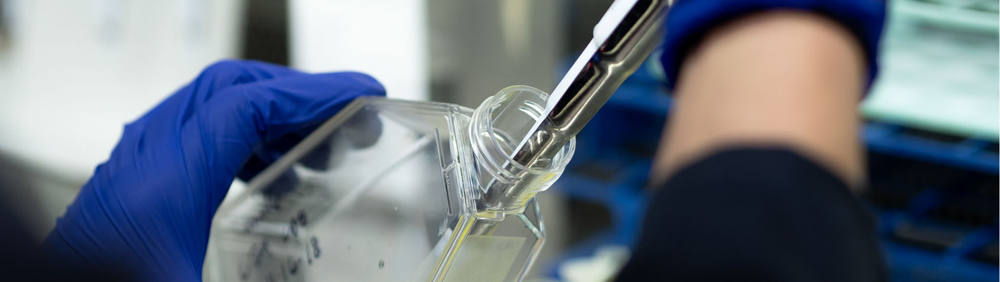 MEDSCHOOL, PSY, Research, Zhang Lab